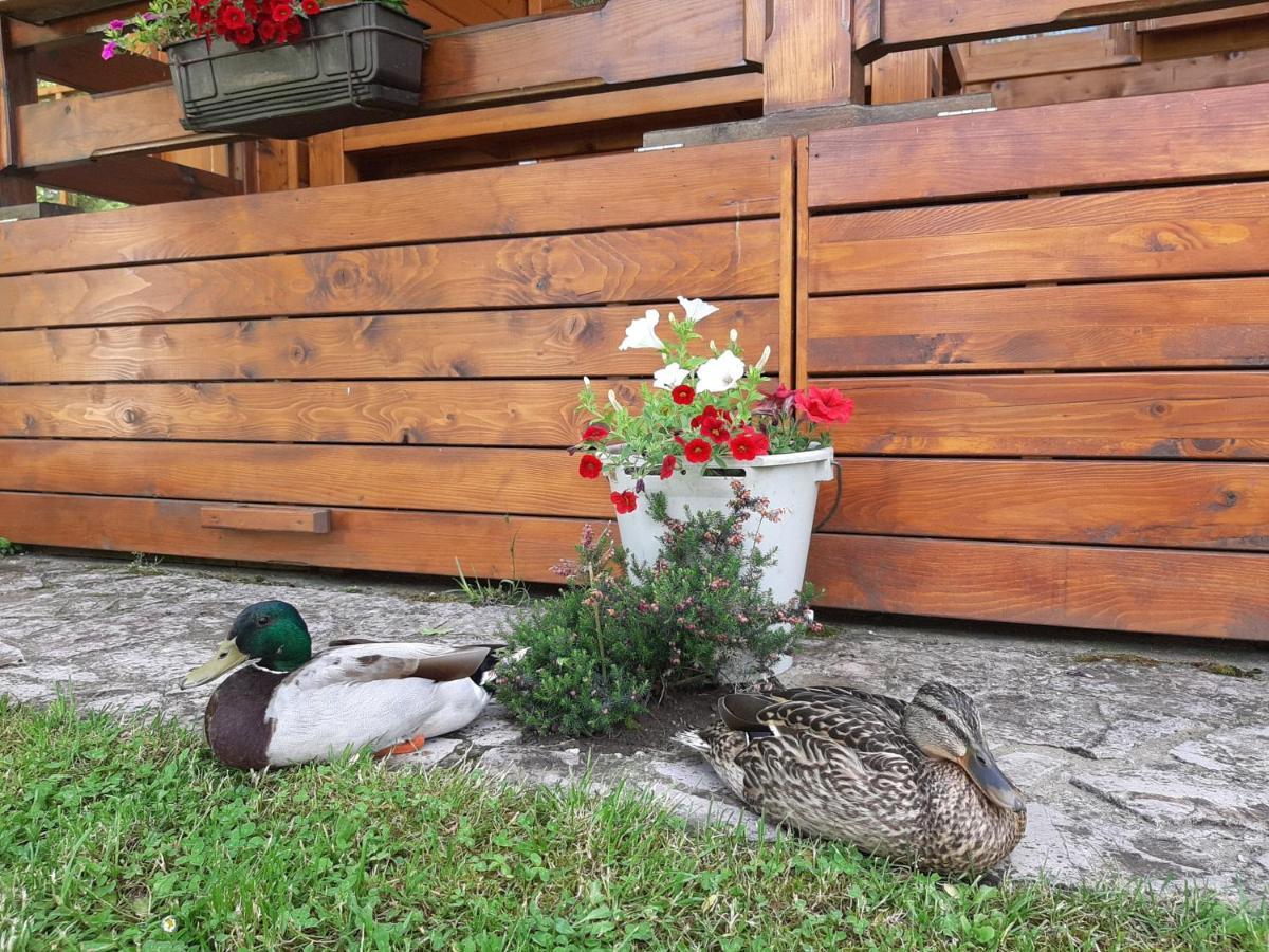 Rest House Ripac Prascijak Екстер'єр фото