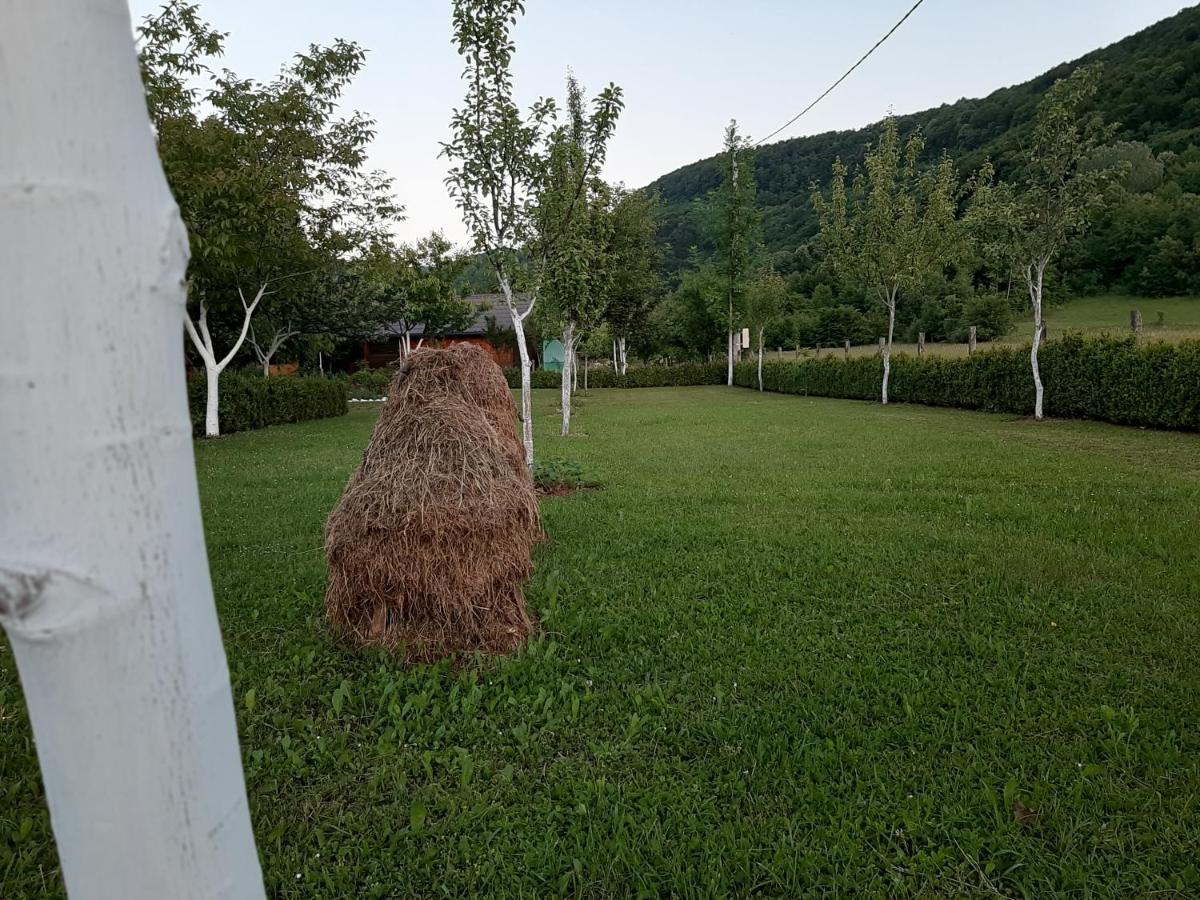 Rest House Ripac Prascijak Екстер'єр фото