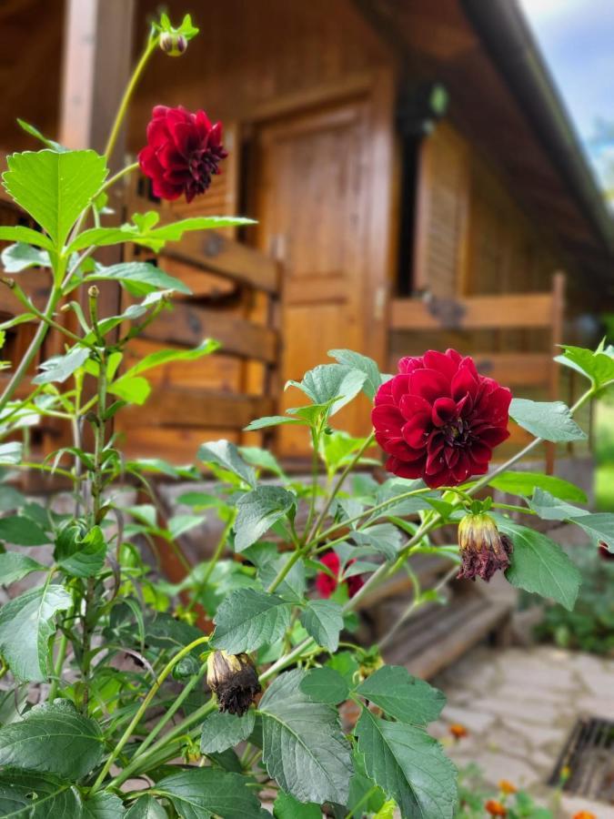 Rest House Ripac Prascijak Екстер'єр фото
